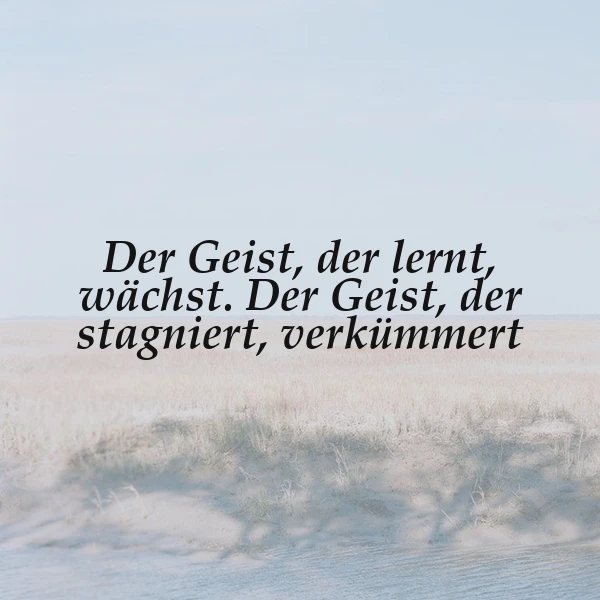 Ein minimalistisches Landschaftsbild mit einem weiten, hellen Himmel über einem sanften, sandfarbenen Feld. Der inspirierende Spruch: „Der Geist, der lernt, wächst. Der Geist, der stagniert, verkümmert.“ prägt die nachdenkliche Atmosphäre.