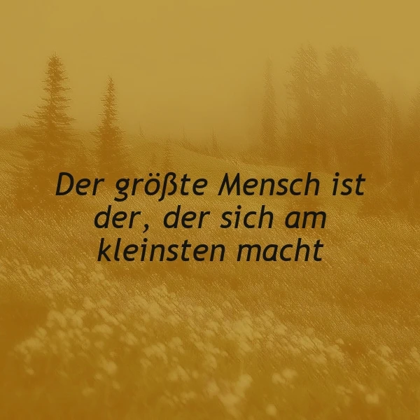 Ein nachdenkliches Zitat in dunkler Schrift auf stimmungsvollem goldgelbem Hintergrund, der eine neblige Waldlandschaft mit Bäumen zeigt. Der Spruch besagt: Der größte Mensch ist der, der sich am kleinsten macht.
