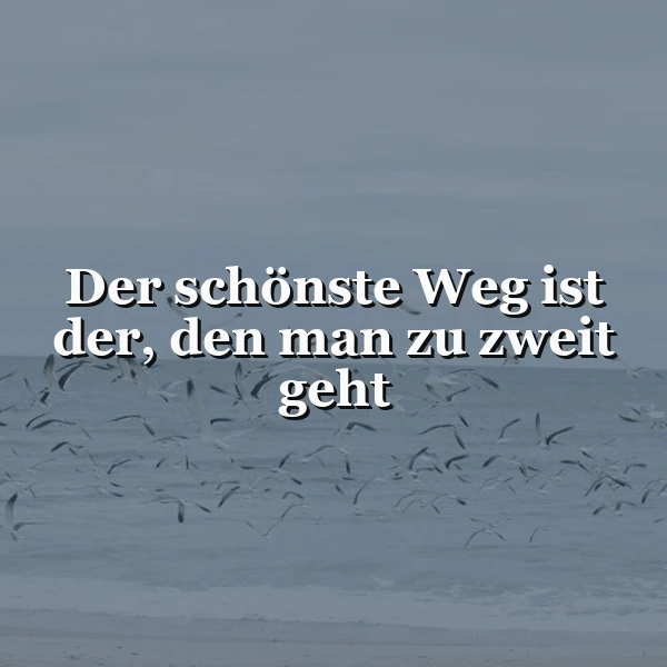 Bild mit inspirierendem Zitat: 'Der schönste Weg ist der, den man zu zweit geht'. Grauer Himmel über ruhigem Meer, viele Möwen fliegen dicht über dem Wasser. Friedliche, verbindende Atmosphäre.