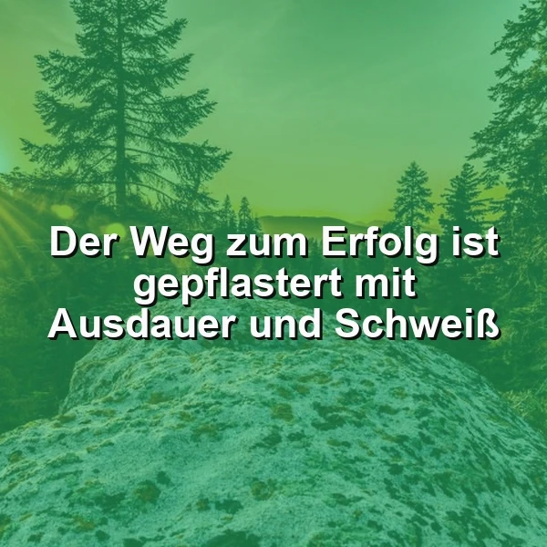 Inspirierendes Zitat auf einer Waldszene: Moosbewachsener Felsen im Vordergrund, umgeben von Nadelbäumen unter einem mildgrünen Himmel. Der Spruch lautet: Der Weg zum Erfolg ist gepflastert mit Ausdauer und Schweiß.