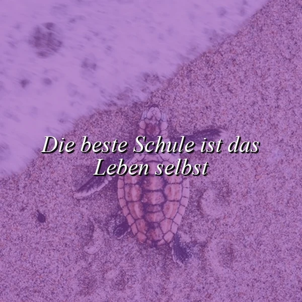 Ein kleines Schildkrötenbaby bewegt sich auf lilafarbenem Sand am Meeresufer, mit einer sanften Welle im Hintergrund. Der inspirierende Spruch 'Die beste Schule ist das Leben selbst' prägt das friedliche und nachdenkliche Bildambiente.
