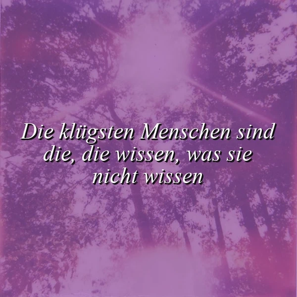 Ein Foto mit einem Zitat vor einem Hintergrund aus Bäumen und einem sternenklaren Himmel in violetten Tönen, die klügsten Menschen sind die, die wissen, was sie nicht wissen