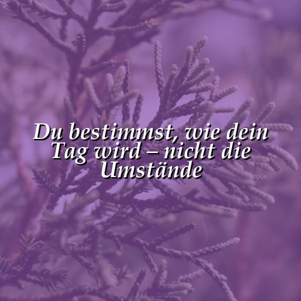 Nahaufnahme von sanften, violett getönten Nadelbaumzweigen, die das inspirierende Zitat "Du bestimmst, wie dein Tag wird – nicht die Umstände" umrahmen. Die friedliche Atmosphäre lädt zur Selbstreflexion und inneren Stärke ein.