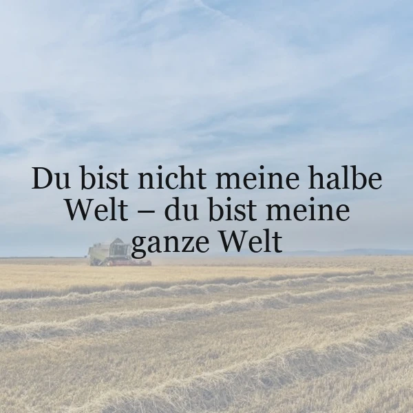 Ein romantisches Zitat auf einem Feld mit einem Mähdrescher unter hellem Himmel: „Du bist nicht meine halbe Welt – du bist meine ganze Welt“. Es symbolisiert tiefe Verbundenheit und ungeteilte Liebe.