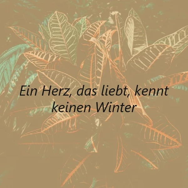 Ein stimmungsvolles Bild mit warmen, erdigen Farbtönen zeigt grüne und rötlich-braune Blätter, sanft verhüllt. Darauf ist das zarte Zitat „Ein Herz, das liebt, kennt keinen Winter“ platziert, das von tiefer und unvergänglicher Zuneigung spricht.