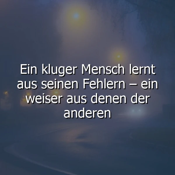 Dunkle, neblige Szene mit unscharfen Straßenlichtern. Der Spruch lautet: Ein kluger Mensch lernt aus seinen Fehlern – ein weiser aus denen der anderen. Es ist ein Bild, das zum Nachdenken über Lernen anregt.