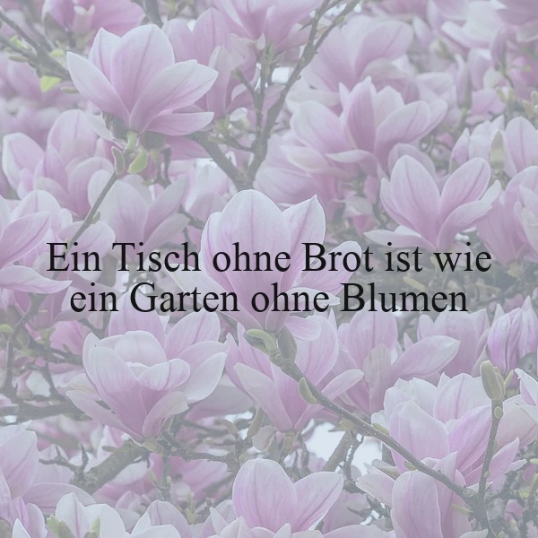 Nahaufnahme von zarten, pastellrosa Magnolienblüten an einem Baumzweig, im Zentrum prangt der weise Spruch: "Ein Tisch ohne Brot ist wie ein Garten ohne Blumen". Die Szenerie strahlt frühlingshafte Ruhe und zärtliche Geborgenheit aus.