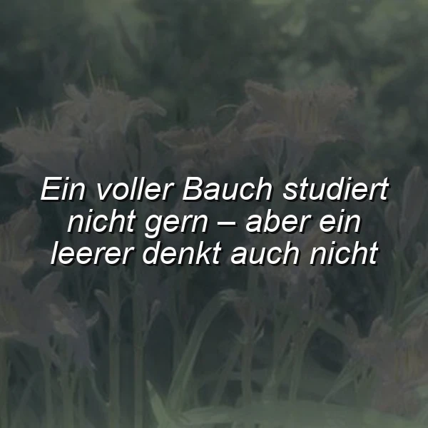 Inspirierendes Spruchbild mit dem Zitat 'Ein voller Bauch studiert nicht gern – aber ein leerer denkt auch nicht' in weißer Schrift auf einem unscharfen Hintergrund aus dunklen Pflanzen. Eine nachdenkliche Stimmung.