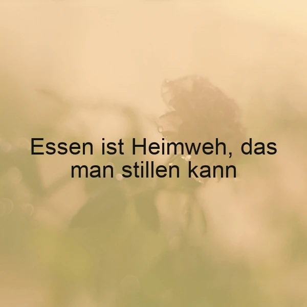 Ein unscharfer, warmer Hintergrund in Ocker- und Grüntönen mit Bokeh-Effekten. Rechts eine schemenhafte, dunklere Pflanze, möglicherweise mit Tautropfen. Zentral steht der schwarze Text: „Essen ist Heimweh, das man stillen kann“. Die Stimmung ist ruhig und nachdenklich.