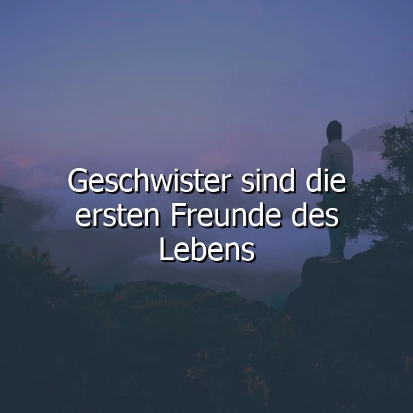 Eine einzelne Person steht auf einem Felsvorsprung und blickt in eine neblige, weite Berglandschaft bei Dämmerung. Darüber schwebt das Zitat 'Geschwister sind die ersten Freunde des Lebens' in weißer Schrift, was die ursprüngliche Verbundenheit innerhalb der Familie betont und eine nachdenkliche Stimmung erzeugt.