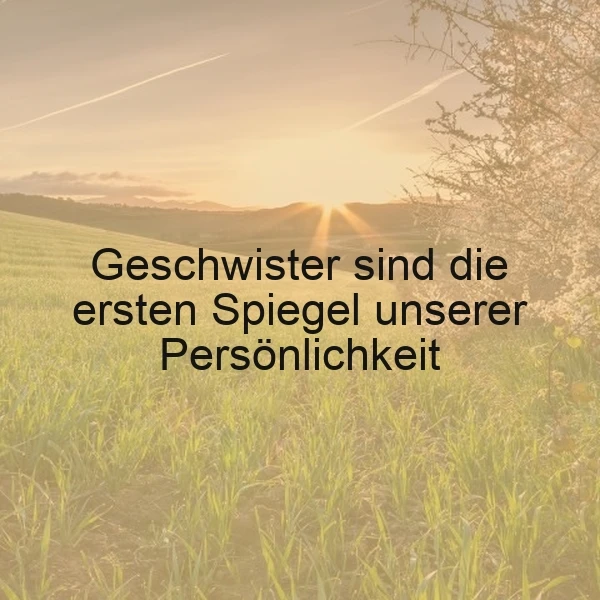Ein sonniges Feld mit grünem Gras, im Hintergrund eine Baum und eine Bergkette bei Sonnenuntergang. Der Text 'Geschwister sind die ersten Spiegel unserer Persönlichkeit' ist in schwarzer Schrift über das Bild gelegt.