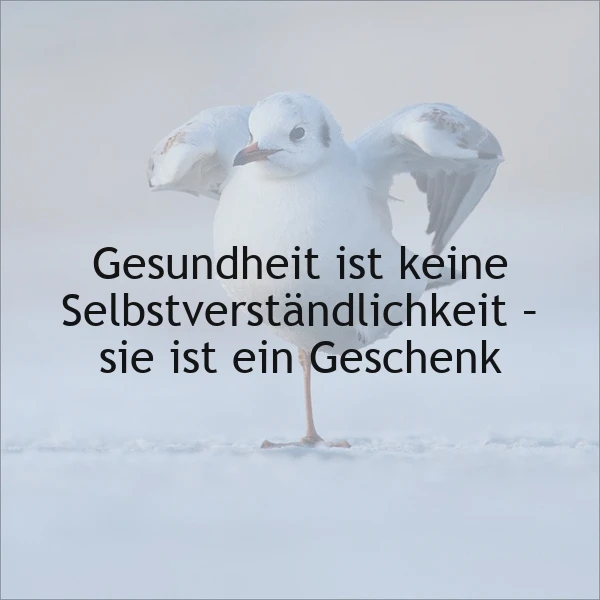 Ein weißer Vogel steht auf einem Schneefeld, der die Flügel um den Körper geschlagen hat. Im Vordergrund ist das Zitat 'Gesundheit ist keine Selbstverständlichkeit - sie ist ein Geschenk' in schwarzer Schrift zu lesen.