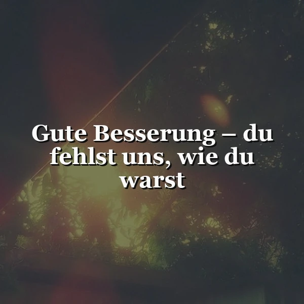 Ein dunkles, unscharfes Bild mit hellen Lichtreflexen und Schatten von Pflanzen, das den weißen Text 'Gute Besserung – du fehlst uns, wie du warst' trägt. Es vermittelt eine nachdenkliche, unterstützende Stimmung.