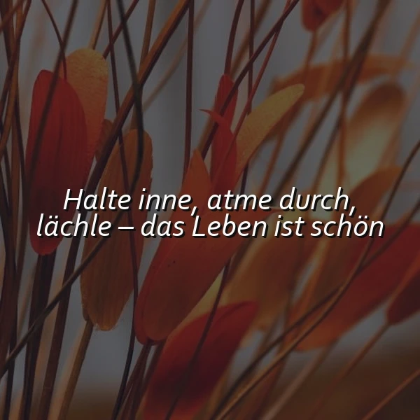 Ein inspirierendes Zitat auf einem Bild mit abstrakten, herbstlichen Gräsern in warmen Rot-, Orange- und Brauntönen. Der Spruch lautet: Halte inne, atme durch, lächle – das Leben ist schön.