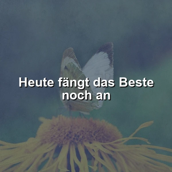 Ein zarter Schmetterling ruht auf einer gelben Blüte. Der inspirierende Spruch „Heute fängt das Beste noch an“ steht zentral, eingebettet in eine sanfte, naturnahe Umgebung. Die friedliche Stimmung kündet von Neuanfängen.