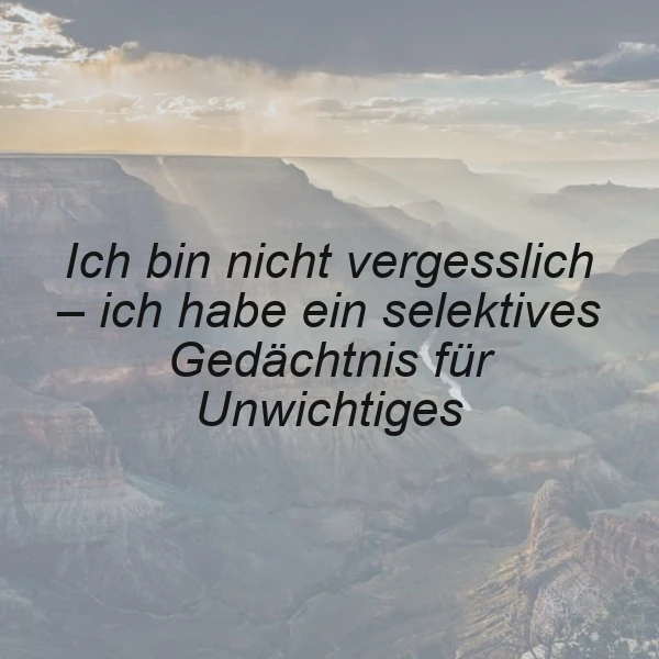 Ein humorvolles Zitat auf einem Bild mit majestätischen, nebelverhangenen Bergformationen zur goldenen Stunde. Der Spruch "Ich bin nicht vergesslich – ich habe ein selektives Gedächtnis für Unwichtiges" schwebt über einer weiten Landschaft.