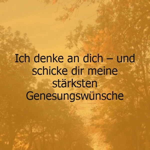 Ein Foto mit einem warmen, goldenen Hintergrund, im Vordergrund ein dunkler Text: "Ich denke an dich – und schicke dir meine stärksten Genesungswünsche", Bäume im Hintergrund