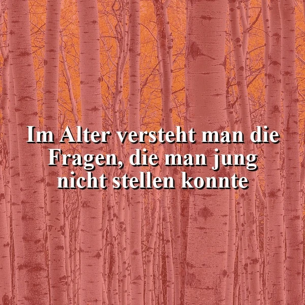 Nahaufnahme von hellen Birkenstämmen in einem warm orangefarbenen Herbstwald, darüber der weise Spruch: Im Alter versteht man die Fragen, die man jung nicht stellen konnte. Eine nachdenkliche Atmosphäre herrscht vor.