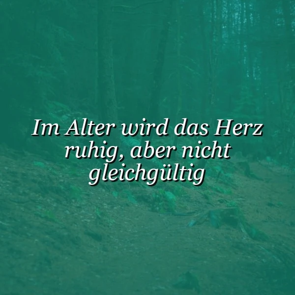 Ein Zitatbild mit dem Spruch "Im Alter wird das Herz ruhig, aber nicht gleichgültig" in weißer Schrift. Der Hintergrund zeigt einen dichten, dunkelgrünen Wald und vermittelt eine nachdenkliche, ruhige Stimmung.