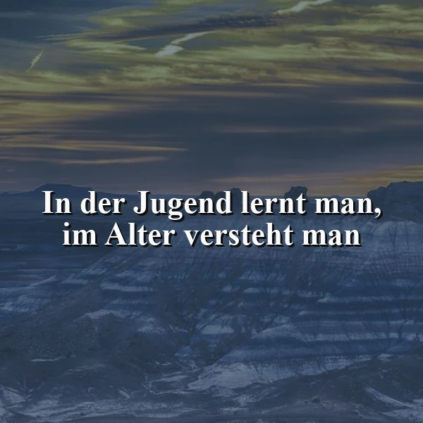 Ein stimmungsvolles Bild einer weiten, bergigen Landschaft unter einem dämmernden Himmel, das den Spruch 'In der Jugend lernt man, im Alter versteht man' prominent darstellt. Die dunklen, erdigen Farbtöne erzeugen eine nachdenkliche Atmosphäre.