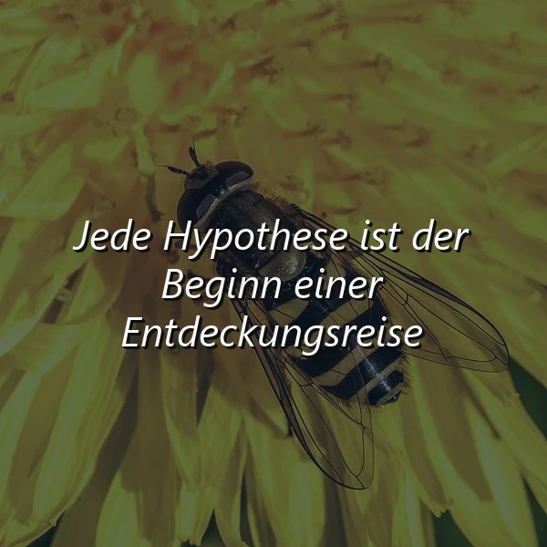 Ein Insekt sitzt auf einer gelben Blume, im Hintergrund unscharf. Das Insekt ist dunkel mit hellen Streifen. Der Text 'Jede Hypothese ist der Beginn einer Entdeckungsreise' ist in weißer Schrift über das Bild gelegt.
