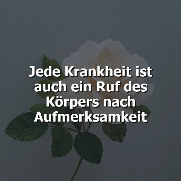 Ein dunkles Bild mit einer weißen Rose und grünen Blättern, im Vordergrund der Text 'Jede Krankheit ist auch ein Ruf des Körpers nach Aufmerksamkeit'