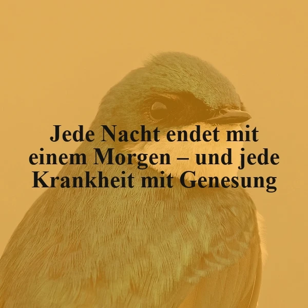 Ein nah aufgenommenes Foto eines kleinen Vogels mit gelben Federn vor einem orangefarbenen Hintergrund, auf dem der Text 'Jede Nacht endet mit einem Morgen – und jede Krankheit mit Genesung' in schwarzer Schrift liegt.