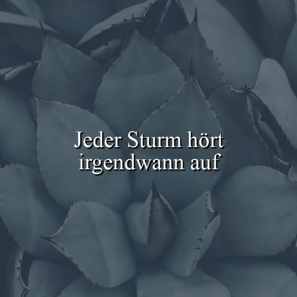 Ein dunkles, monochromenes Bild von Blättern einer Pflanze mit dem Zitat 'Jeder Sturm hört irgendwann auf' in weißer Schrift