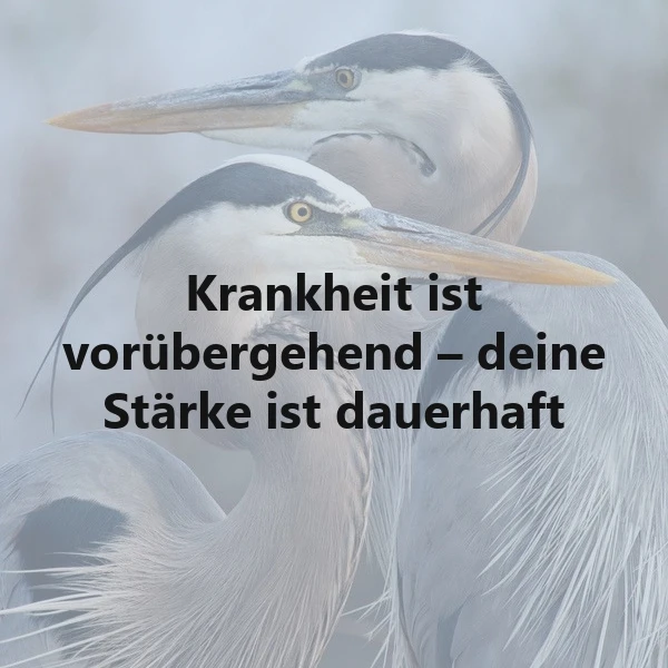 Ein Foto von zwei majestätischen Reihern mit einem sanften, grauen Hintergrund. Die Reiher haben weiße und graue Federn, lange Hälse und scharfe Schnäbel. Der Vordergrund-Reiher blickt direkt in die Kamera, während der Hintergrund-Reiher seitwärts schaut. Das Bild strahlt Ruhe und Stärke aus.