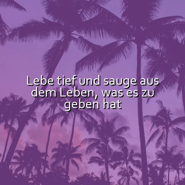 Lila Palmen im sanften Abendlicht, darauf das inspirierende Zitat: „Lebe tief und sauge aus dem Leben, was es zu geben hat“. Die Szene vermittelt eine ruhige, lebensbejahende und motivierende Stimmung.