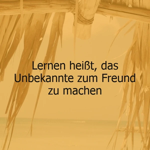 Ein gelbes Strandmotiv mit einem Palmenhüttendach im Vordergrund und einem ruhigen Meer im Hintergrund. Das Zitat 'Lernen heißt, das Unbekannte zum Freund zu machen' ist in schwarzer Schrift über dem Bild platziert.