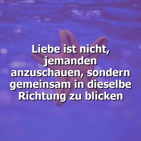 Ein schwebender Seestern vor einem ruhigen, bläulich-violetten Wasserhintergrund mit Lichtreflexen trägt die inspirierende Botschaft: "Liebe ist nicht, jemanden anzuschauen, sondern gemeinsam in dieselbe Richtung zu blicken."