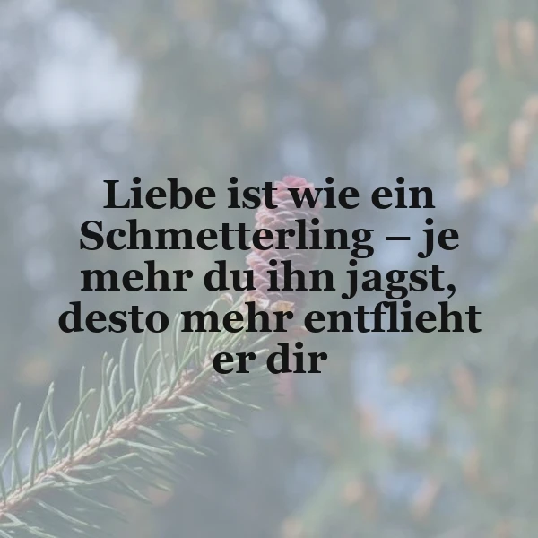 Ein Nadelbaumzweig mit jungem Zapfen, dazu das Zitat: 'Liebe ist wie ein Schmetterling – je mehr du ihn jagst, desto mehr entflieht er dir.' Die ruhige Aufnahme strahlt Nachdenklichkeit aus.