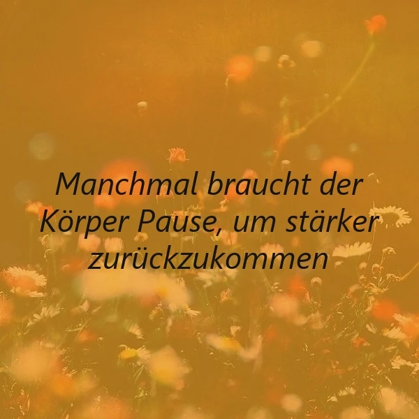 Ein sanftes Spruchbild im goldenen Licht des Spätsommers, zeigt blühende Wildblumen im Weichzeichner. Die Botschaft: Manchmal braucht der Körper Pause, um stärker zurückzukommen, eine warme Ermutigung zur Selbstfürsorge inmitten der Natur.