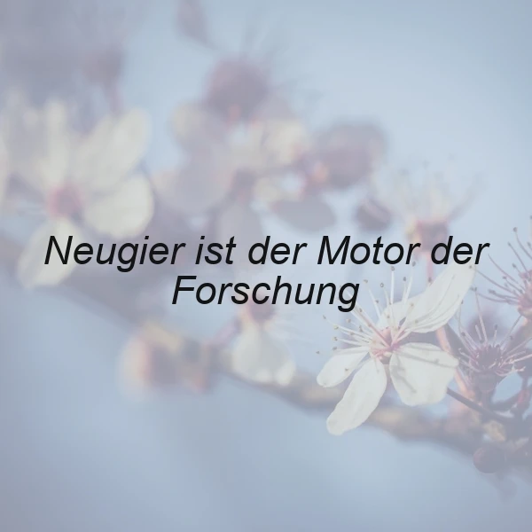 Ein unscharfes Bild von weißen Blüten an einem Baumzweig vor blauem Himmel mit dem Zitat 'Neugier ist der Motor der Forschung' in schwarzer Schrift