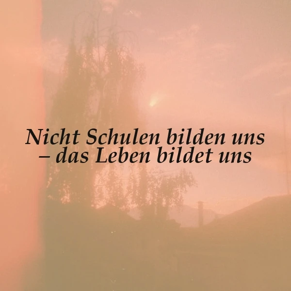 Ein Foto mit einer Pastellfarbenen Abendlandschaft mit Bäumen und einer untergehenden Sonne im Hintergrund. Im Vordergrund steht ein schwarzes Zitat: 'Nicht Schulen bilden uns - das Leben bildet uns'.