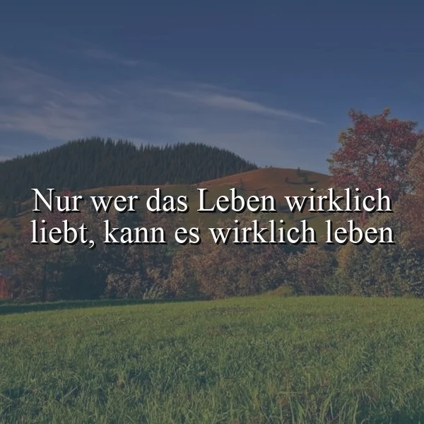 Ein inspirierendes Zitat über die Liebe zum Leben auf einer weitläufigen, grünen Wiese unter einem weiten, blauen Himmel. Sanfte Hügel mit Bäumen im Hintergrund vermitteln eine ruhige und friedliche Atmosphäre.
