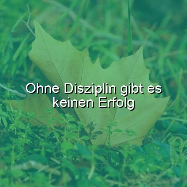 Nahaufnahme von frischem grünem Gras mit zwei herbstlichen Blättern, darauf der motivierende Spruch "Ohne Disziplin gibt es keinen Erfolg". Eine ruhige, natürliche Szene, die zum Nachdenken anregt.