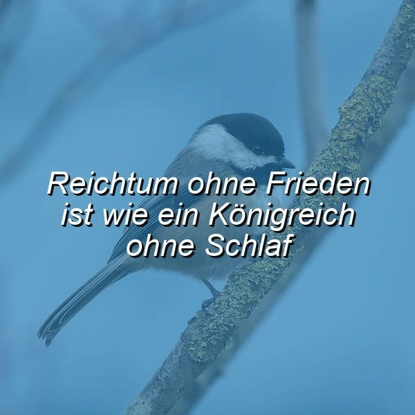 Ein kleiner Vogel sitzt auf einem kahlen Ast vor einem blaugrauen, unscharfen Hintergrund. Darauf der weiße Spruch "Reichtum ohne Frieden ist wie ein Königreich ohne Schlaf". Die Szene wirkt ruhig und nachdenklich, symbolisiert die Bedeutung von innerer Ruhe.