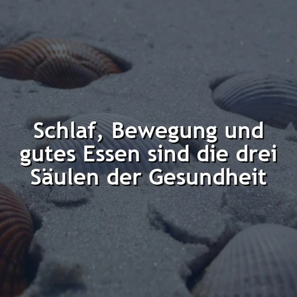 Ein ruhiger Strand mit Muscheln im Sand, auf dem ein Zitat über die drei Säulen der Gesundheit steht