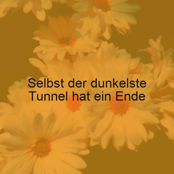 Ein Bild mit gelben Blumen vor einem goldenen Hintergrund, auf dem der Spruch 'Selbst der dunkelste Tunnel hat ein Ende' in schwarzer Schrift liegt.