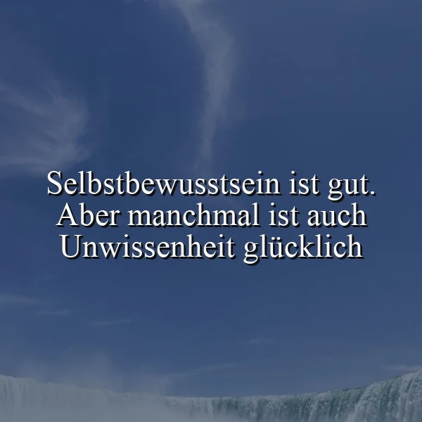 Ein Foto mit einem dunkelblauen Himmel und einer Wasserfall-Landschaft im Hintergrund. Der Text 'Selbstbewusstsein ist gut. Aber manchmal ist auch Unwissenheit glücklich' ist zentral und deutlich lesbar.