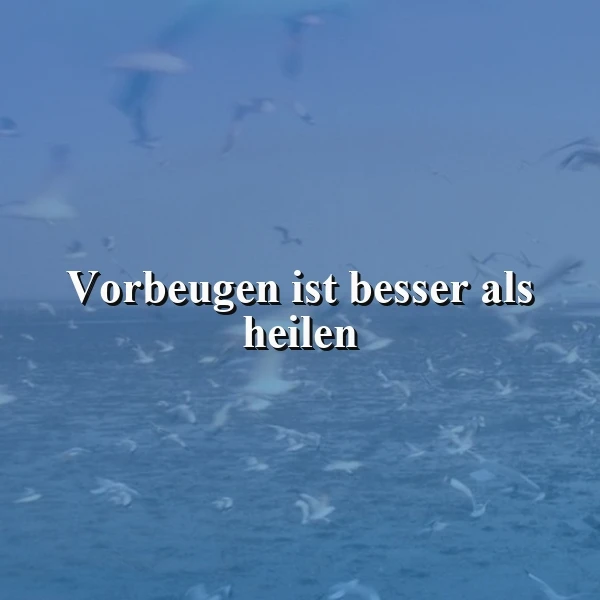 Ein ruhiges Bild des Meeres mit vielen fliegenden und schwimmenden Seevögeln in blauen Farbtönen. Zentral in weißer Schrift steht die Weisheit 'Vorbeugen ist besser als heilen'. Eine besonnene und gleichzeitig entspannte Stimmung.