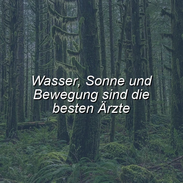 Moosbewachsener Wald mit hohen Bäumen und Farnen, der eine ruhige, grüne Stimmung vermittelt. Darauf steht der Spruch: 'Wasser, Sonne und Bewegung sind die besten Ärzte', als Inspiration für natürliche Gesundheit.