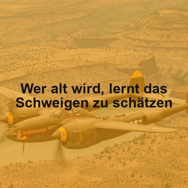 Ein altes Flugzeug fliegt über eine trockene, baumbewaldete Landschaft. Der Text 'Wer alt wird, lernt das Schweigen zu schätzen' ist über das Bild gelegt.
