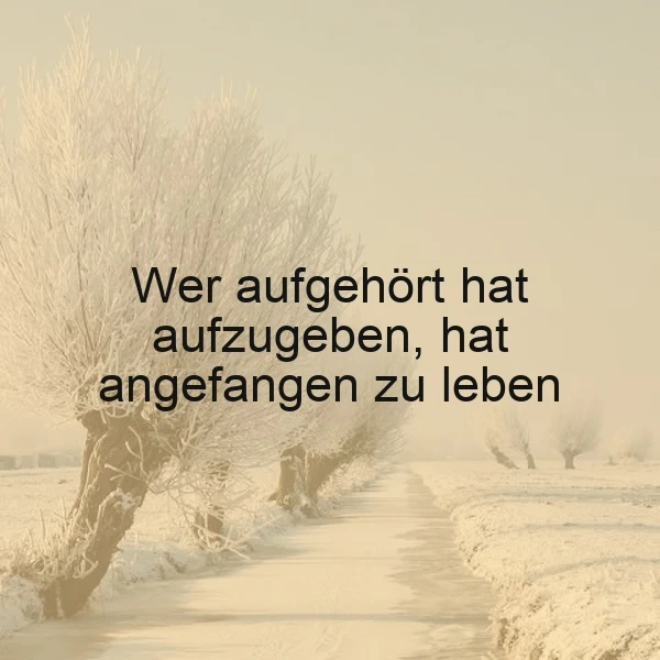 Ein winterlicher Landschaftsweg, gesäumt von frostigen Bäumen, mit dem Zitat 'Wer aufgehört hat aufzugeben, hat angefangen zu leben' in schwarzer Schrift