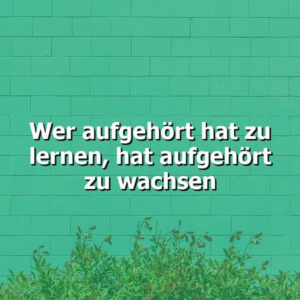 Ein grünes Ziegelsteinmauerwerk mit einem Spruch in weißer Schrift: Wer aufgehört hat zu lernen, hat aufgehört zu wachsen. Unten im Bild sind grüne Pflanzen zu sehen.