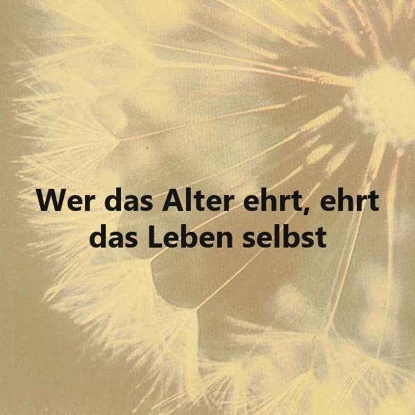 Ein gelblich-weißes Bild mit einer Nahaufnahme von Löwenzahn-Samen, die wie ein Stern oder eine Explosion aussehen. Der Text 'Wer das Alter ehrt, ehrt das Leben selbst' ist in schwarzer Schrift über das Bild gelegt.