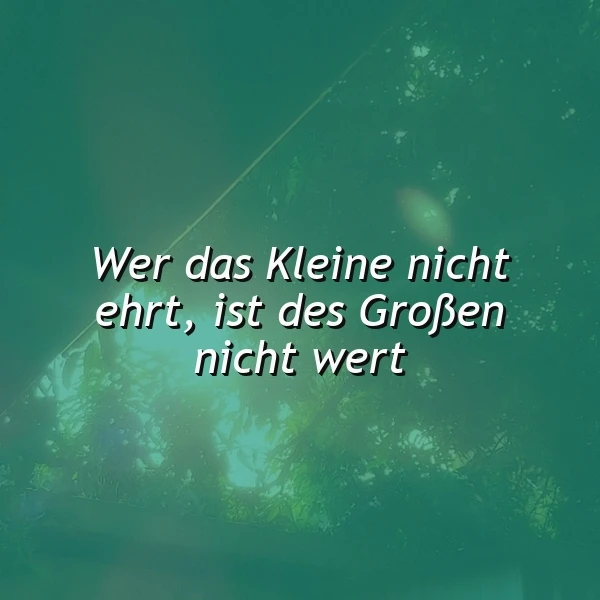 Ein grünes Hintergrundbild mit einem hellen, unscharfen Licht, das auf einen Ast scheint. Der Text 'Wer das Kleine nicht ehrt, ist des Großen nicht wert' ist in weißer Schrift über das Bild gelegt.