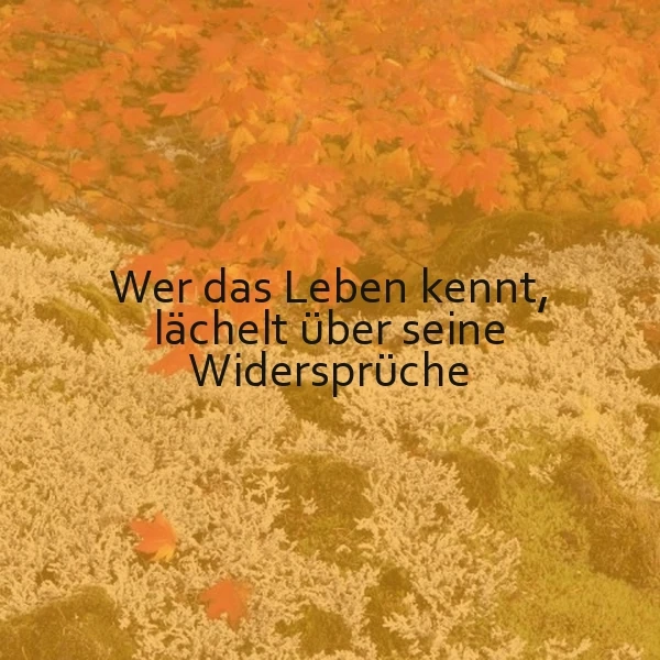 Ein Herbstbild mit orangefarbenen Blättern und gelben Zweigen. Im Zentrum des Bildes steht ein schwarzer Text: 'Wer das Leben kennt, lächelt über seine Widersprüche'. Die Stimmung ist friedlich und inspirierend.